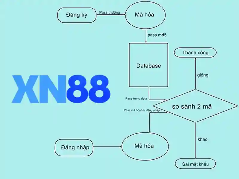 xn88 là gì và vai trò của nó trong sàn cá cược trực tuyến