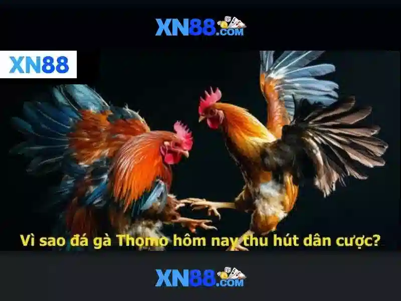 Lợi ích khi sử dụng xn88