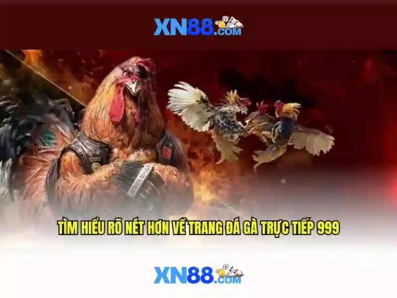 Khuyến mãi và chương trình thưởng