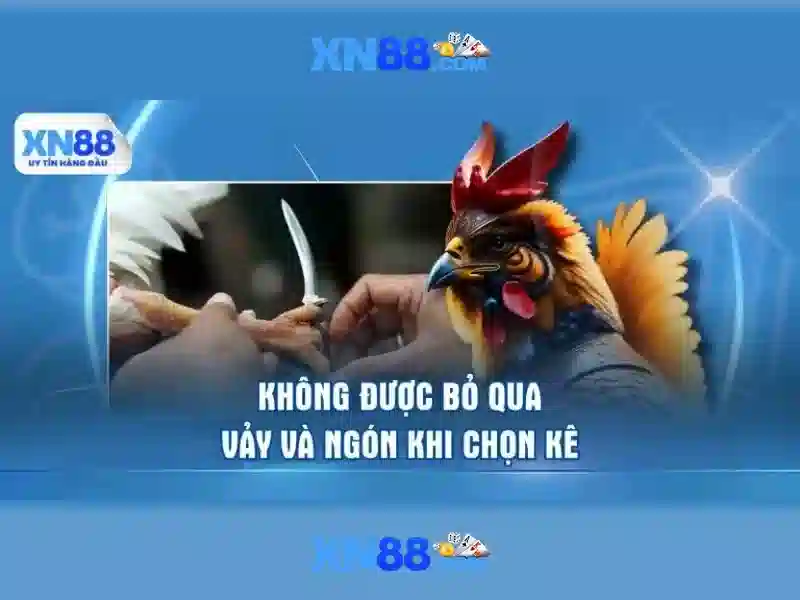 Tại sao chọn xn88