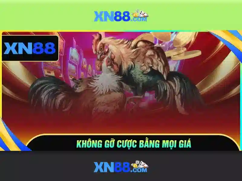 Sản phẩm và khuyến mãi