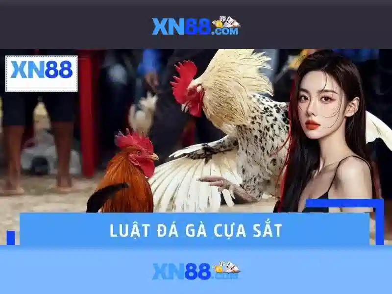 Khuyến mãi và điều kiện
