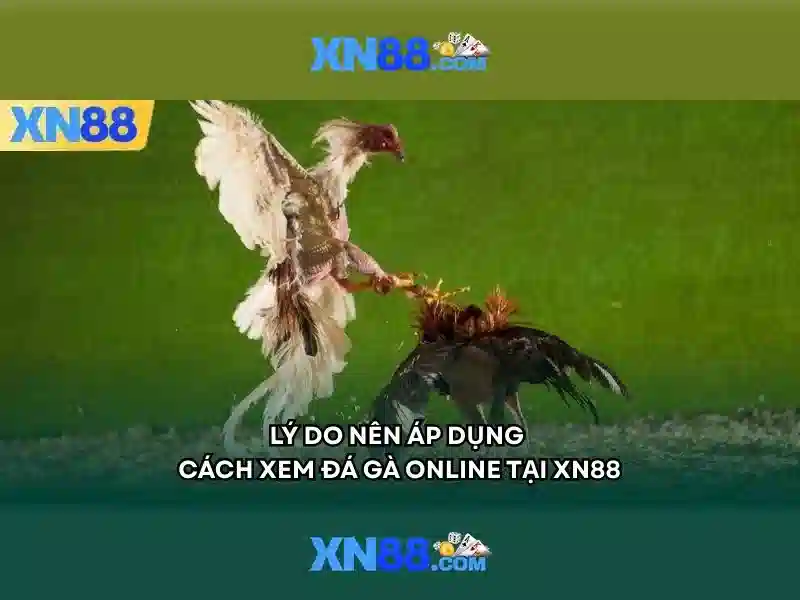 xn88 - Nền tảng giải trí trực tuyến an toàn và đa dạng