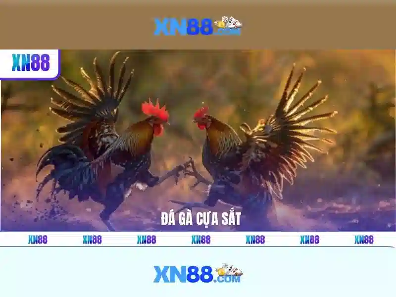 xn88: Tổng quan về nền tảng