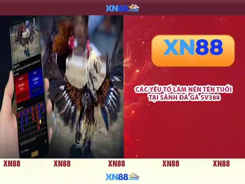 xn88: Đánh giá nền tảng cá cược trực tuyến và các đặc điểm nổi bật