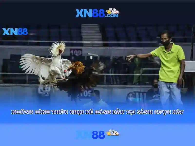 Sản phẩm và dịch vụ cốt lõi của bandcamp bandcamp xn88