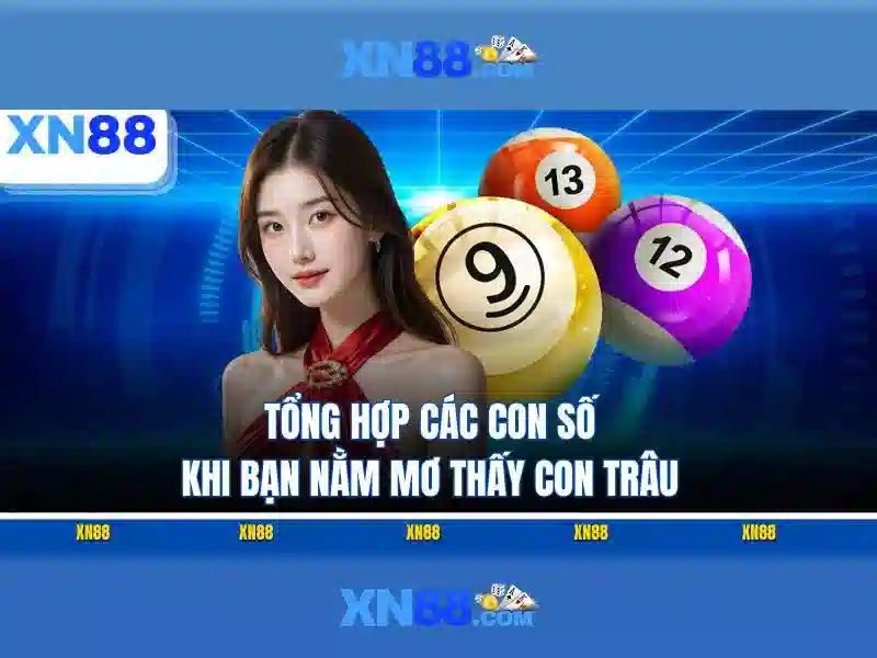 Lời kết về xn88