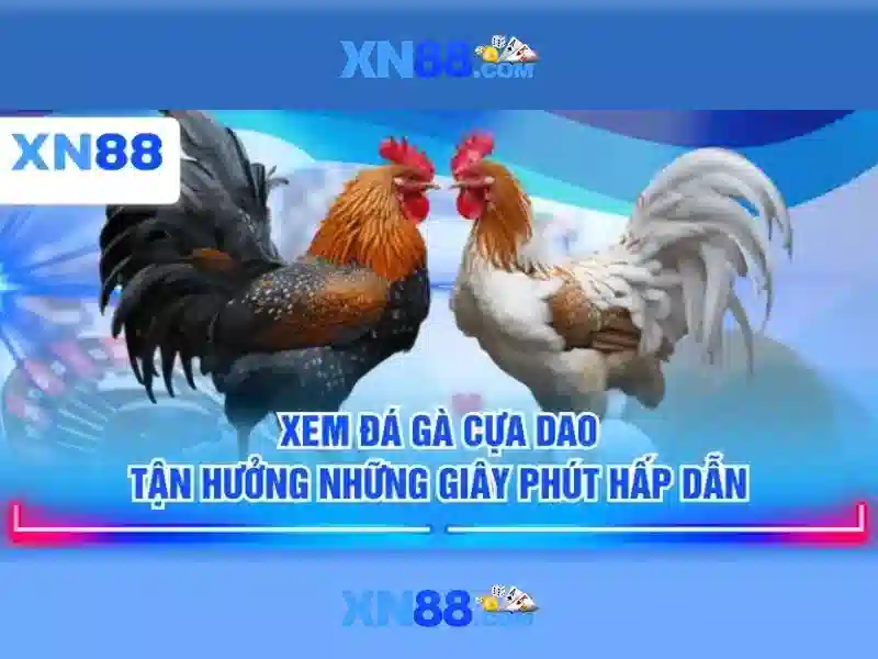 xn88: Tổng quan và đánh giá nền tảng chơi game trực tuyến