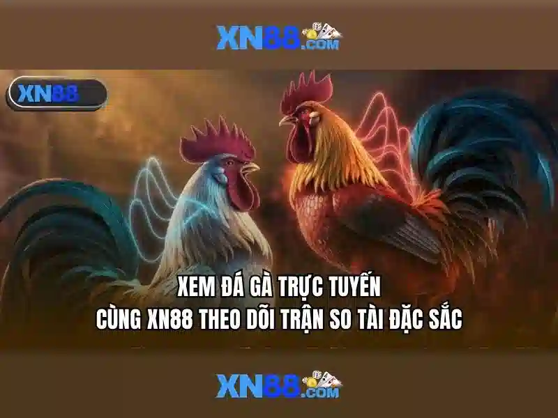 Xn88: Nền tảng trò chơi trực tuyến và những điều bạn cần biết