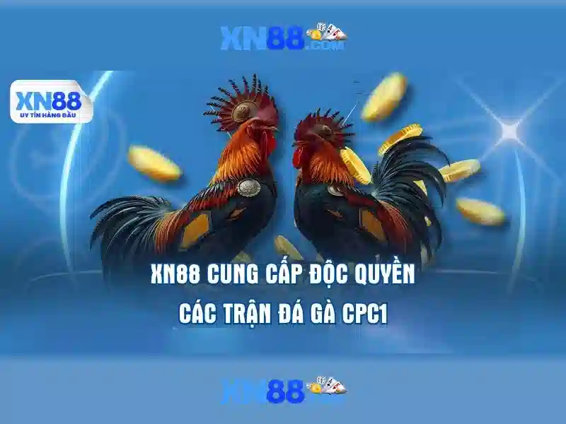 Giới thiệu xn88 bet
