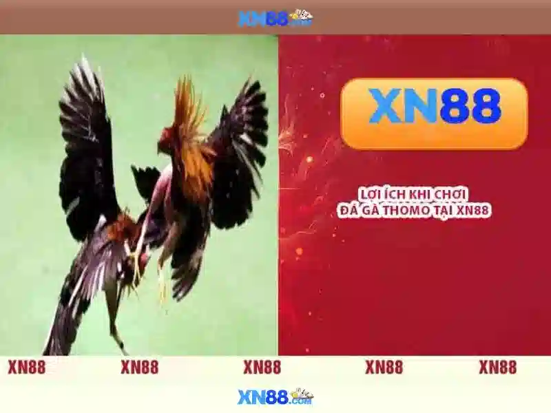 Xn88: Nền tảng trò chơi trực tuyến và những điều bạn nên biết
