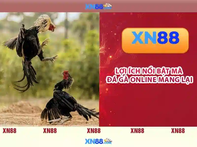 Giới thiệu xn88