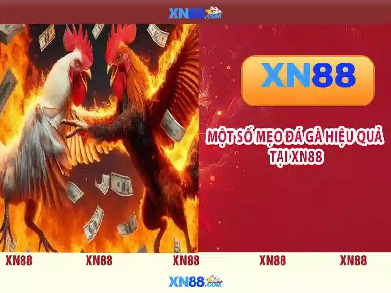 xn88 - Nền tảng trò chơi trực tuyến và trải nghiệm người dùng