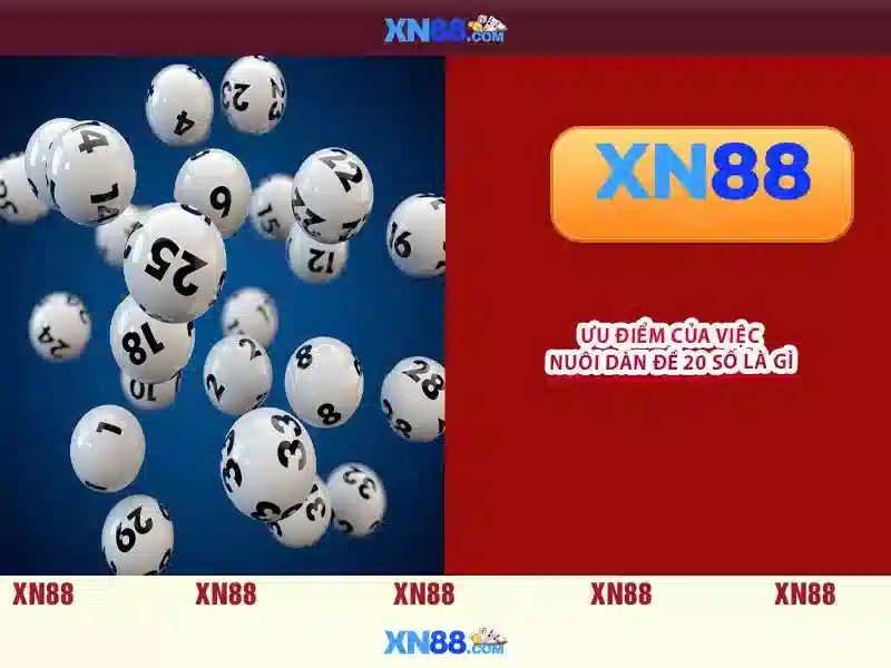 xn88: Tong quan va huong dan tham gia an toan