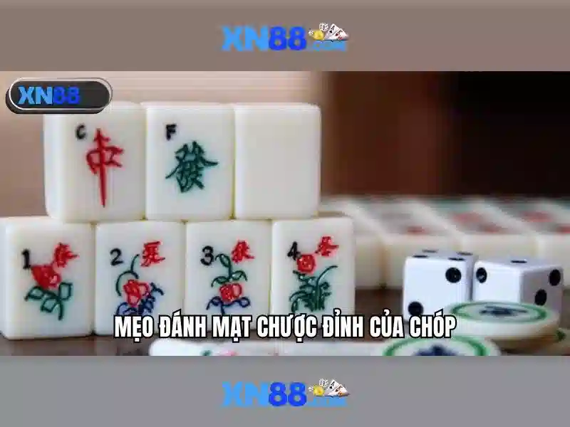 xn88: Nền tảng giải trí và cược trực tuyến an toàn