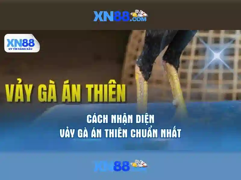 Luu y an toan va trach nhiem khi choi xn88