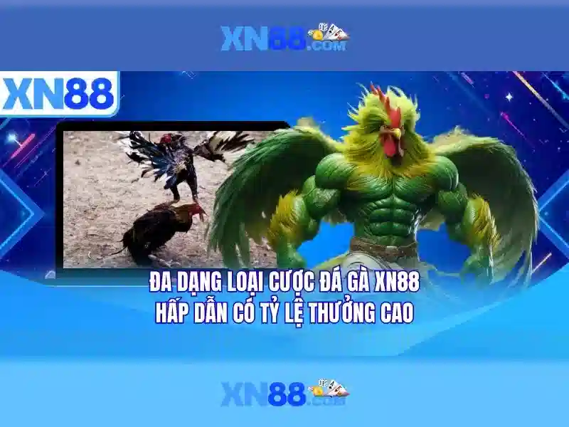 Trải nghiệm người dùng