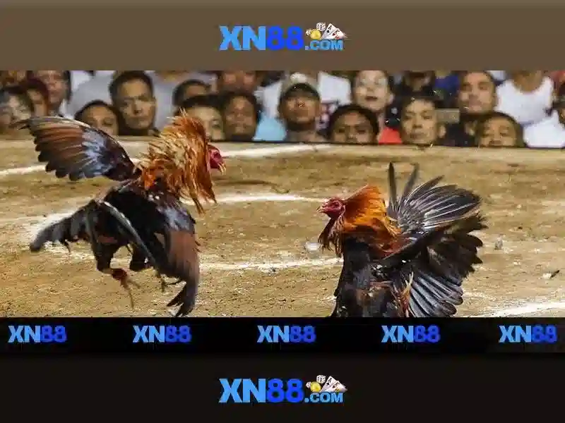 xn88: Tổng quan, đánh giá và hướng dẫn tham gia