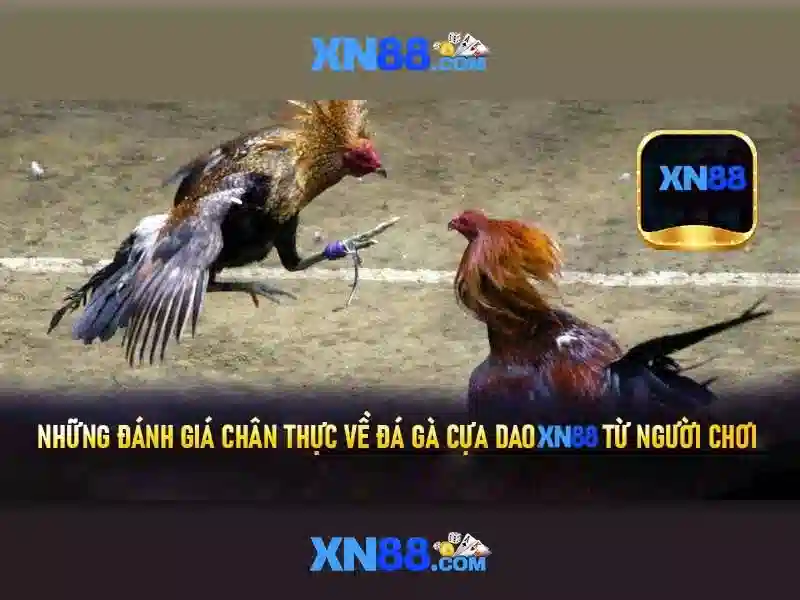 xn88: Tổng quan và Lịch sử