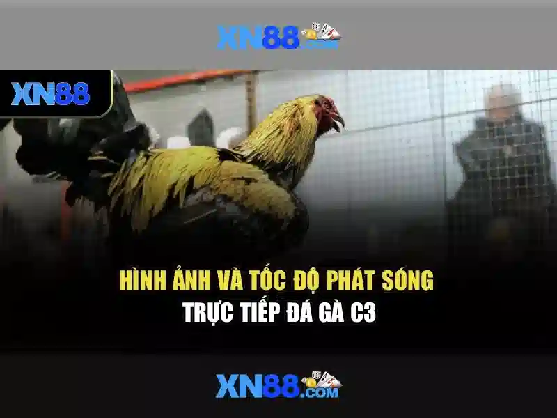 xn88 ap: Giải pháp số đột phá cho doanh nghiệp
