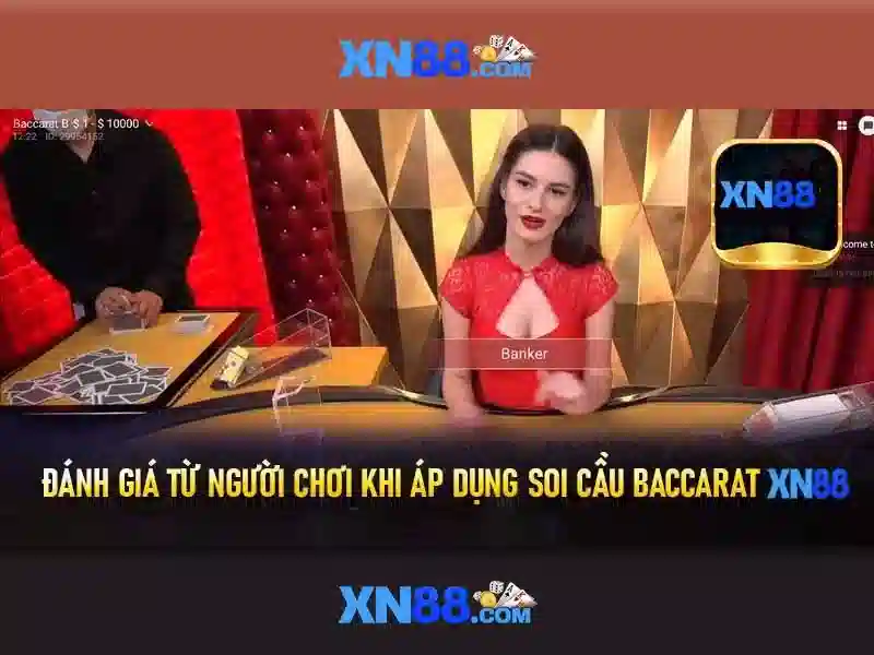 Trải nghiệm người dùng và danh tiếng