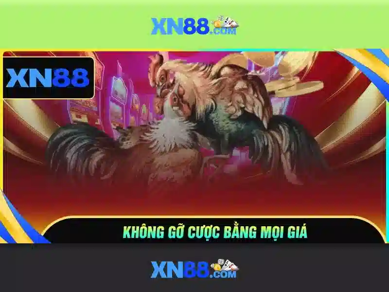 XN88 - Đánh giá và hướng dẫn chơi trực tuyến
