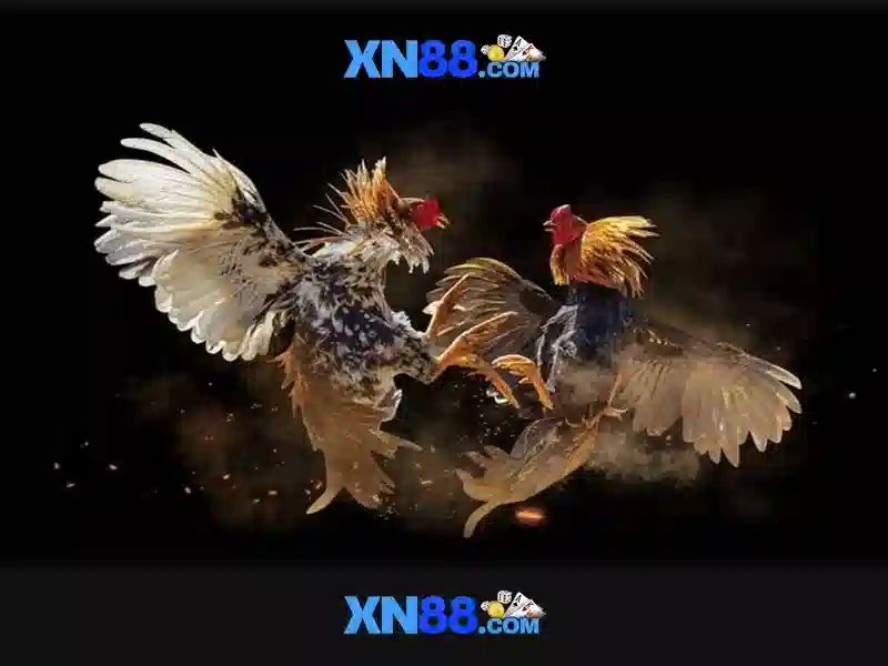 messenger hỗ trợ xn88 – Tổng quan và Giá trị cốt lõi