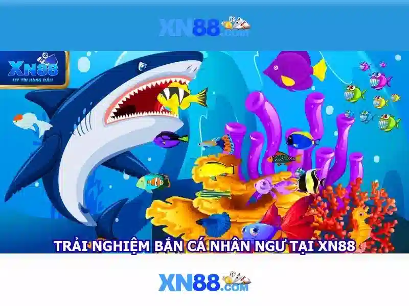 Các chức năng và thiết kế