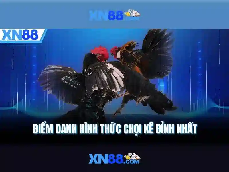 xn88: Tổng quan bằng tiếng Việt
