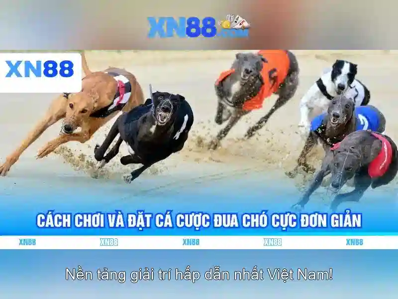 xn88 lừa đảo – Trải nghiệm và đánh giá đầy đủ