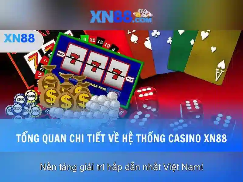Trải nghiệm người dùng và hỗ trợ