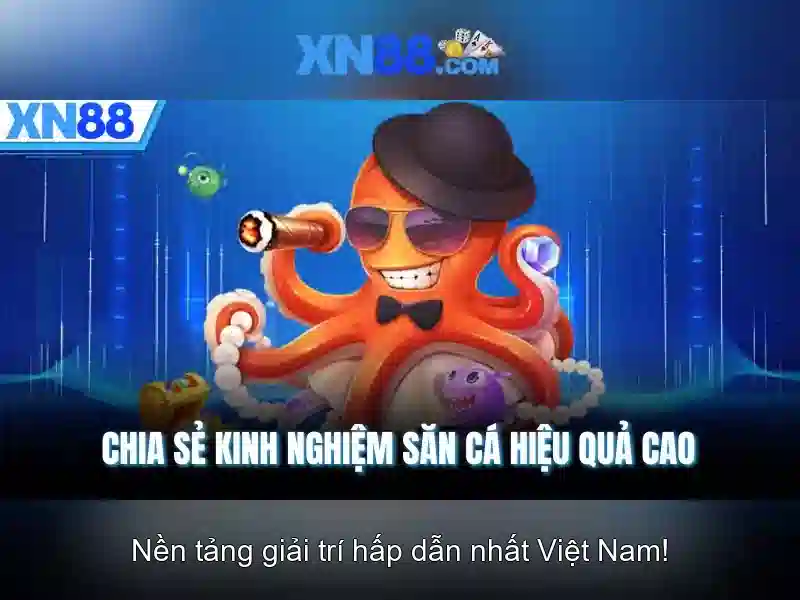 Các trò chơi và trải nghiệm