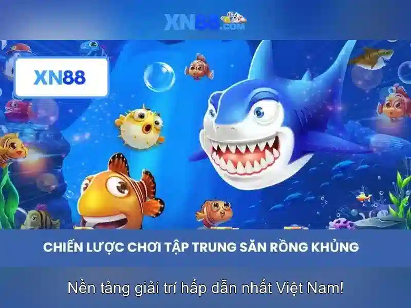 Các dịch vụ nổi bật
