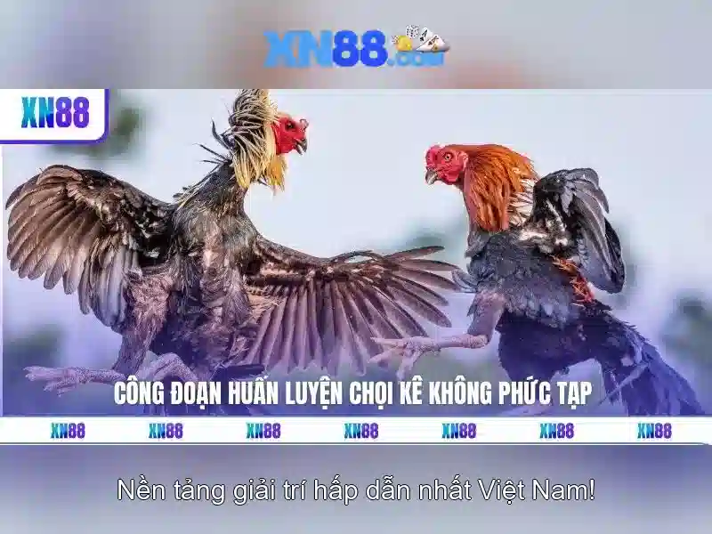 Hướng dẫn tham gia xn88