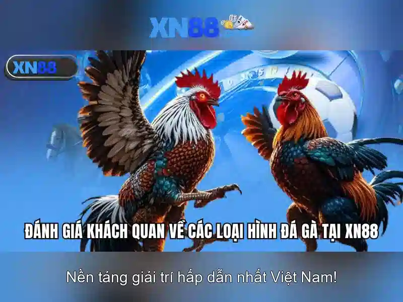 XN88: Tổng quan, đánh giá và hướng dẫn sử dụng