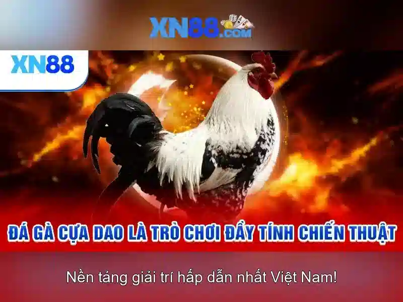 xn88 và thế giới cá cược trực tuyến