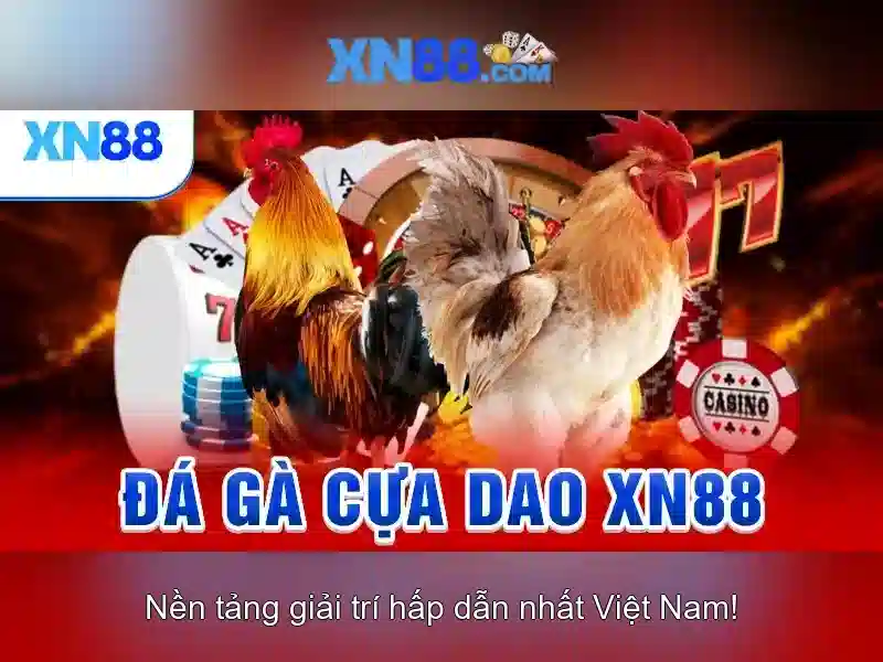 quy-trinh-rut-tien-xn88