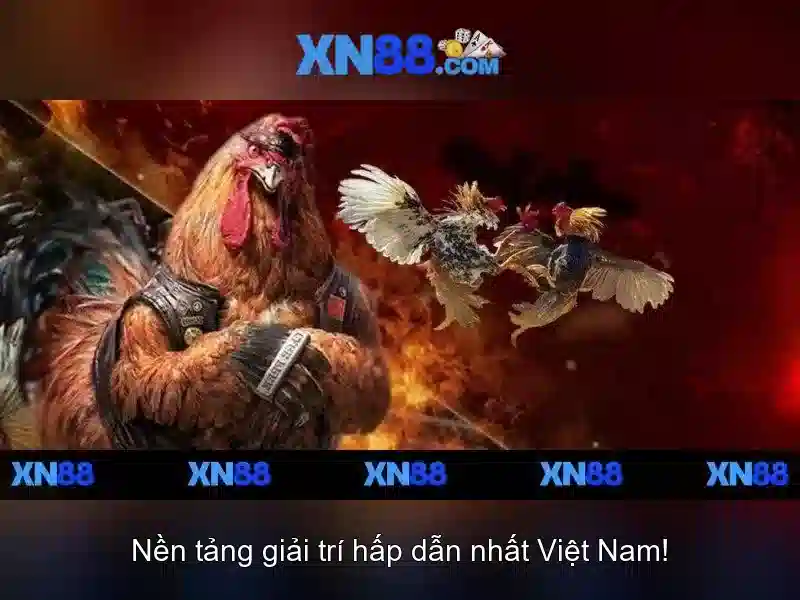 xn88: Đánh giá nền tảng cược trực tuyến hàng đầu