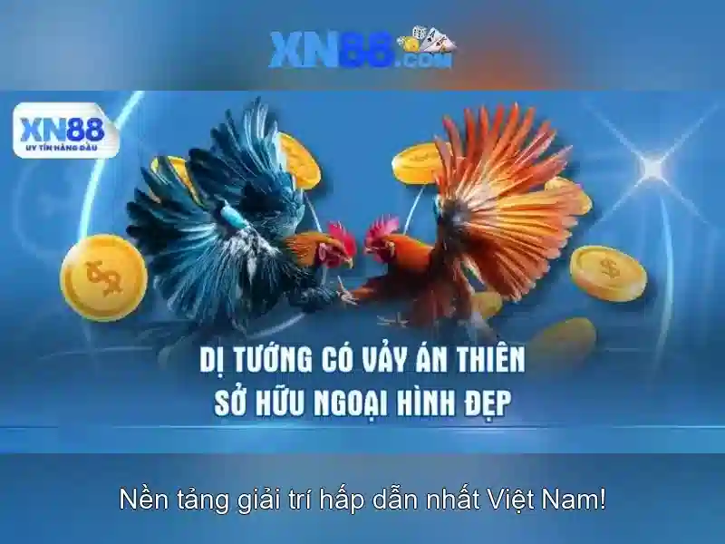 Nhập code xn88: hành trình trải nghiệm đột phá