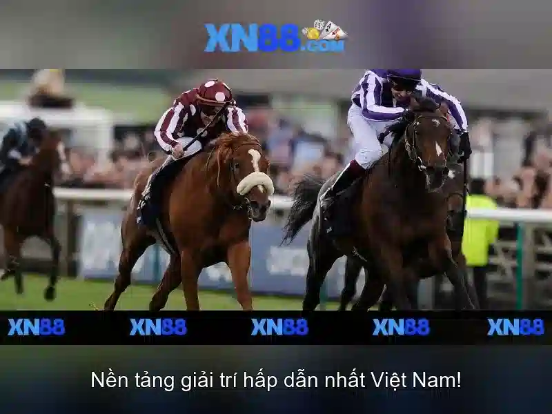 Giới thiệu về xn88