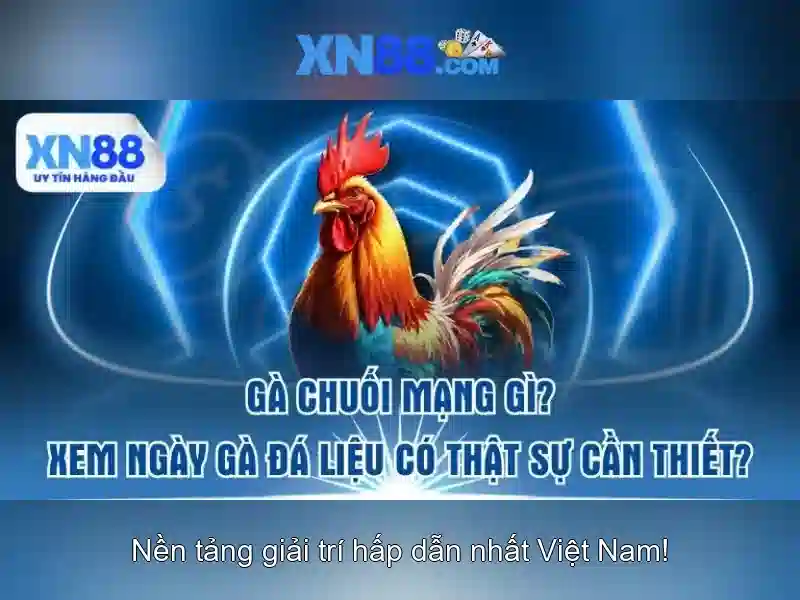 Các trò chơi và trải nghiệm người dùng