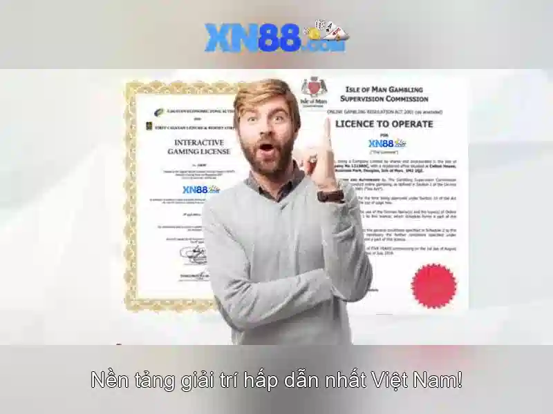 Các tính năng nổi bật