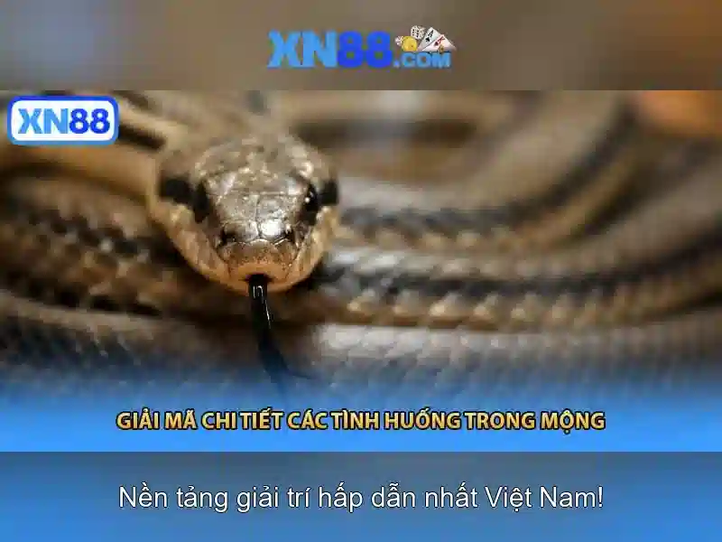 xn88: Tổng quan về nền tảng và ảnh hưởng của nó