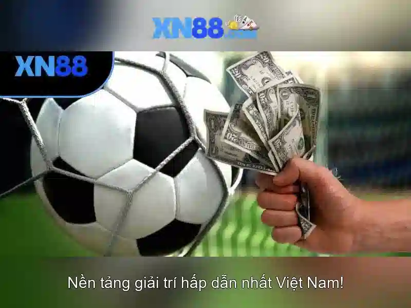 An toàn và chăm sóc người chơi