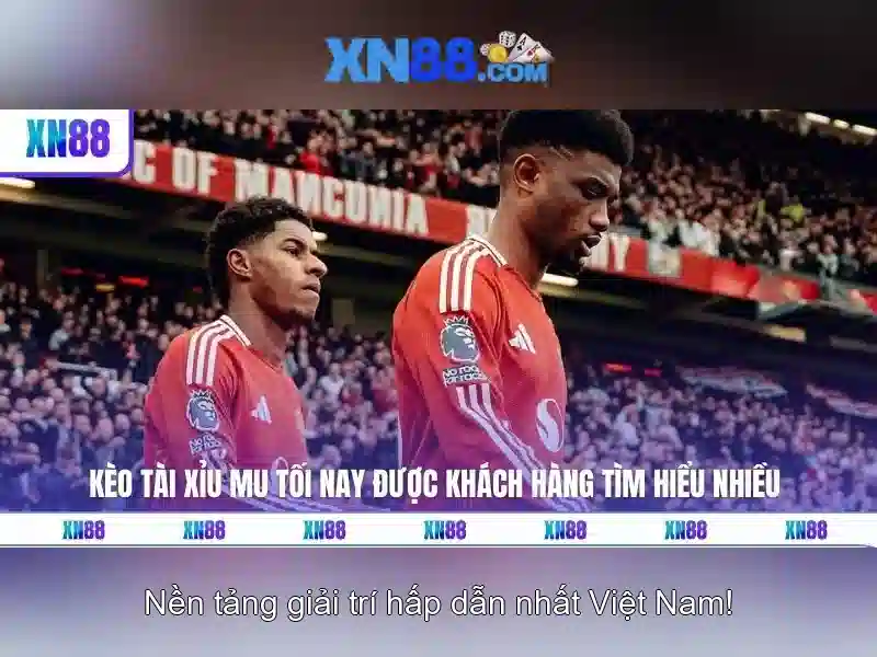 xn88 la gi?