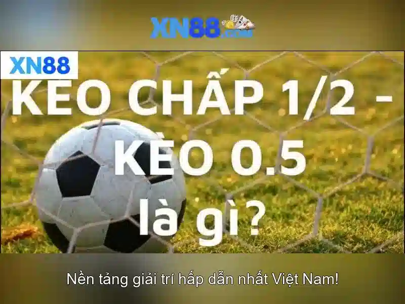 xn88: Đánh giá nền tảng cá cược trực tuyến