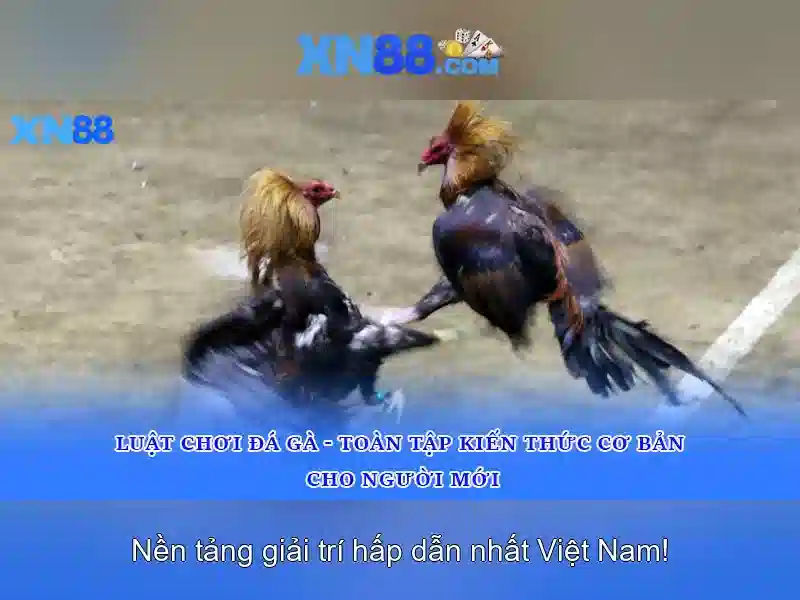 Minh hoa giao dien xn88 va ban ca