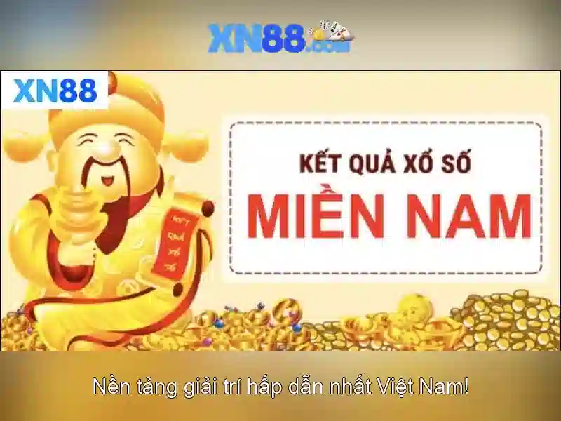 Trải nghiệm người dùng và phản hồi từ cộng đồng