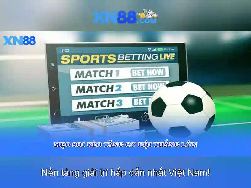 Giới thiệu về xn88