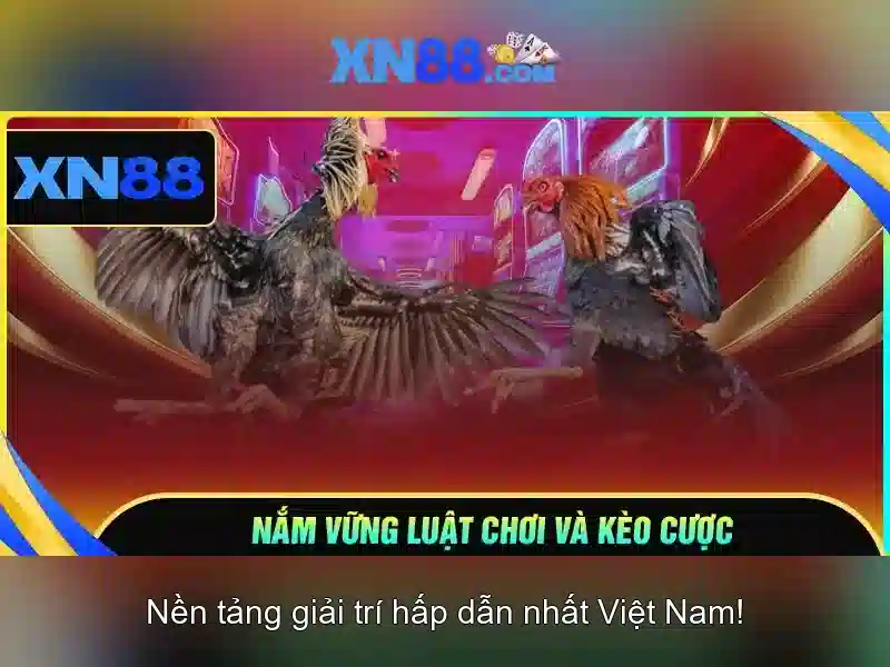 Dien giai san pham va dich vu cua xn88-mobi